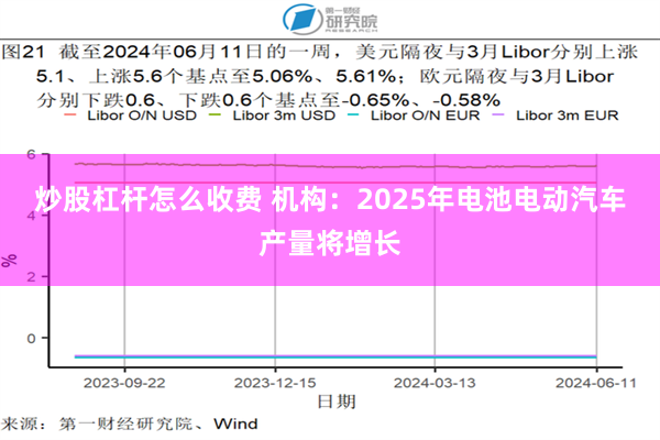 炒股杠杆怎么收费 机构：2025年电池电动汽车产量将增长