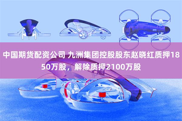 中国期货配资公司 九洲集团控股股东赵晓红质押1850万股，解除质押2100万股