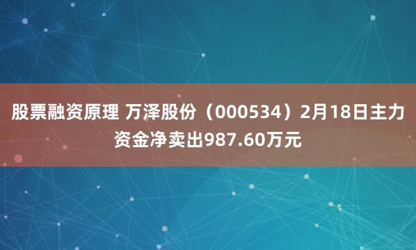 股票融资原理 万泽股份（000534）2月18日主力资金净卖出987.60万元