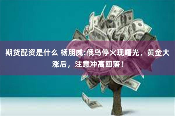 期货配资是什么 杨朋威:俄乌停火现曙光，黄金大涨后，注意冲高回落！