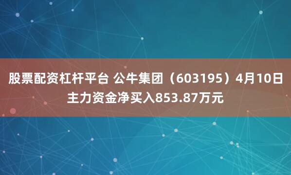 股票配资杠杆平台 公牛集团（603195）4月10日主力资金净买入853.87万元