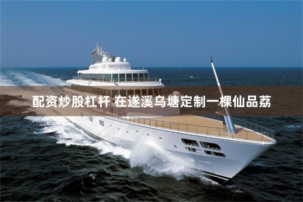 配资炒股杠杆 在遂溪乌塘定制一棵仙品荔