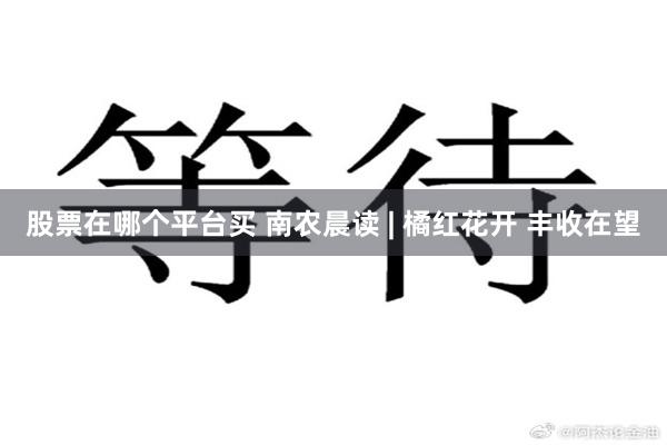 股票在哪个平台买 南农晨读 | 橘红花开 丰收在望