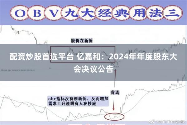 配资炒股首选平台 亿嘉和：2024年年度股东大会决议公告