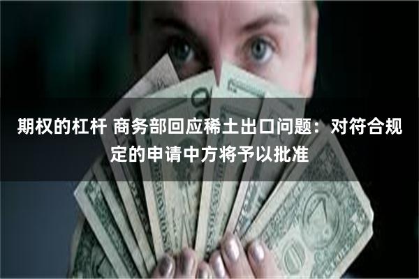期权的杠杆 商务部回应稀土出口问题：对符合规定的申请中方将予以批准