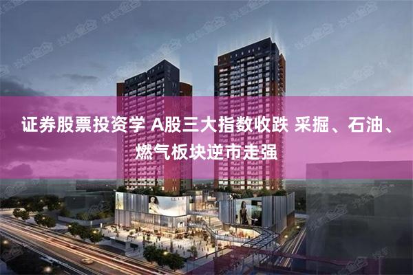 证券股票投资学 A股三大指数收跌 采掘、石油、燃气板块逆市走强