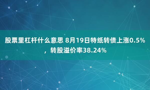 股票里杠杆什么意思 8月19日特纸转债上涨0.5%，转股溢价率38.24%