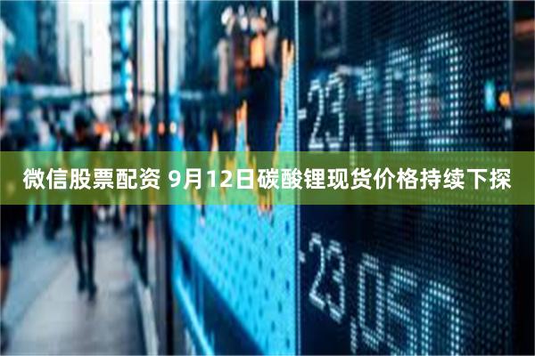 微信股票配资 9月12日碳酸锂现货价格持续下探