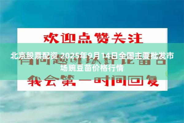 北京股票配资 2025年9月14日全国主要批发市场豌豆苗价格行情